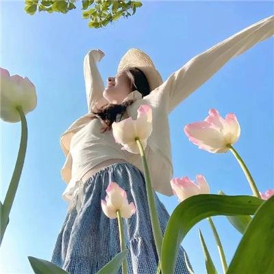 查克贝里演唱会